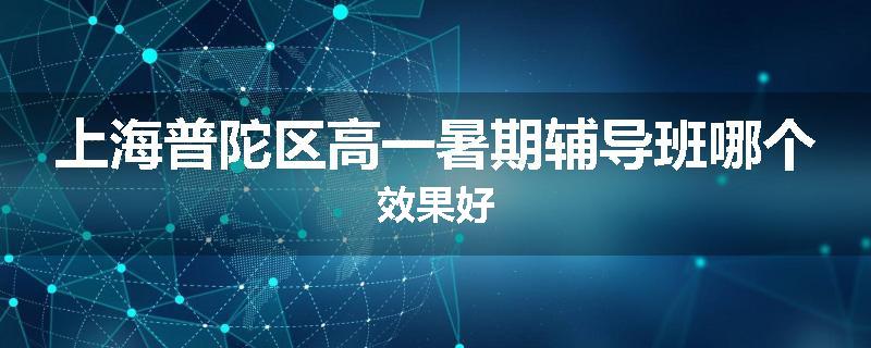 上海普陀区高一暑期辅导班哪个效果好