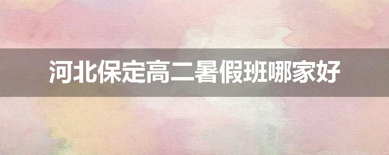 河北保定高二暑假班哪家好