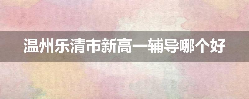 温州乐清市新高一辅导哪个好