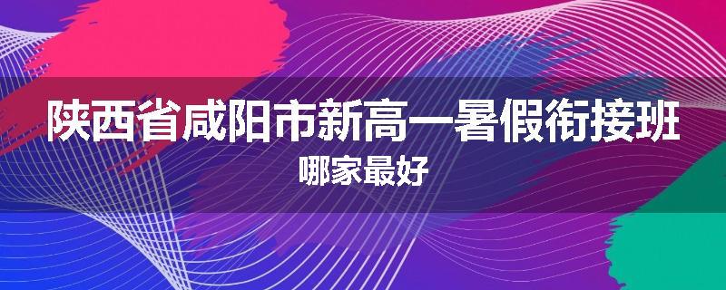 陕西省咸阳市新高一暑假衔接班哪家最好