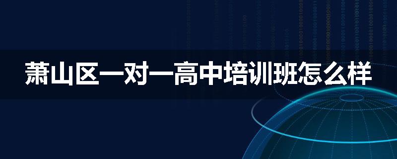 萧山区一对一高中培训班怎么样