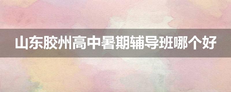 山东胶州高中暑期辅导班哪个好