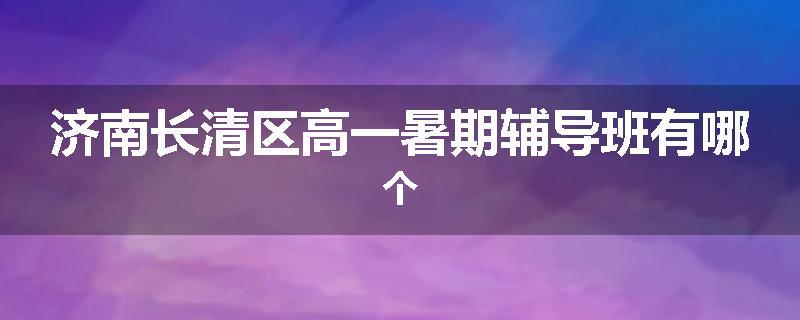 济南长清区高一暑期辅导班有哪个