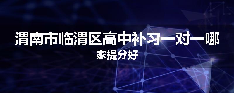 渭南市临渭区高中补习一对一哪家提分好