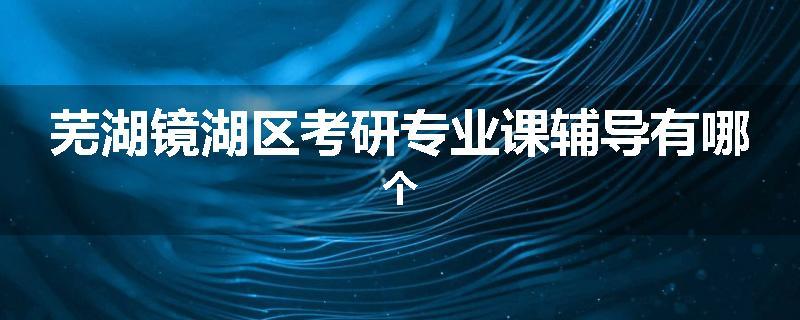 芜湖镜湖区考研专业课辅导有哪个