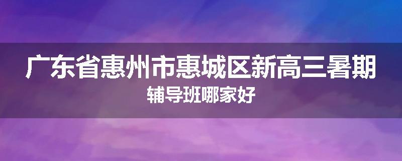 广东省惠州市惠城区新高三暑期辅导班哪家好