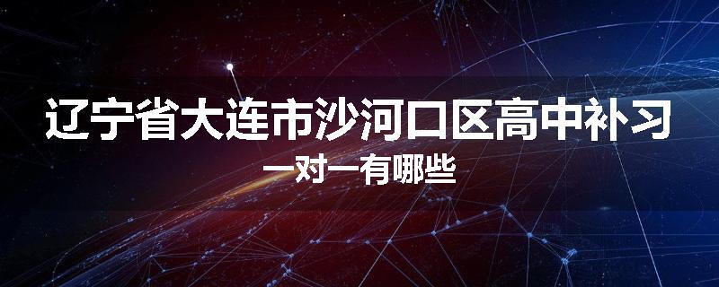 辽宁省大连市沙河口区高中补习一对一有哪些