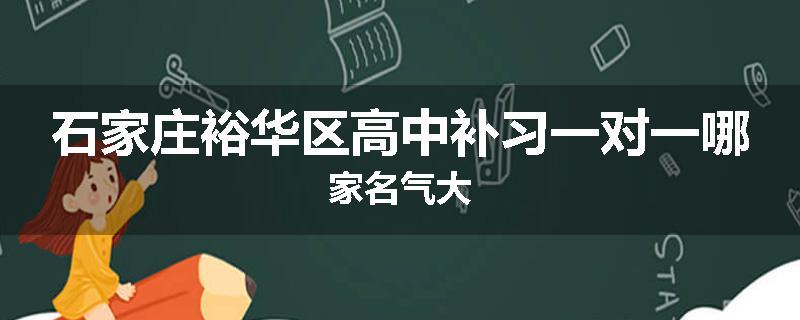 石家庄裕华区高中补习一对一哪家名气大
