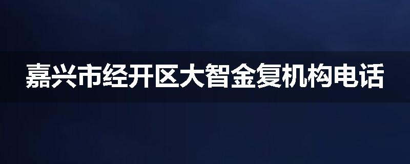 嘉兴市经开区大智金复机构电话