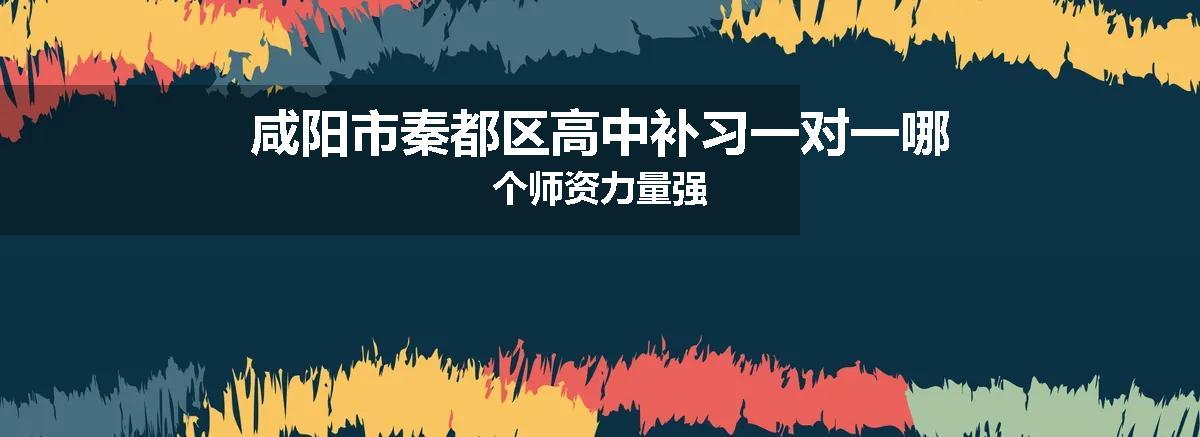 咸阳市秦都区高中补习一对一哪个师资力量强