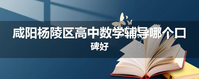 咸阳杨陵区高中数学辅导哪个口碑好