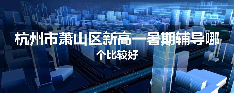 杭州市萧山区新高一暑期辅导哪个比较好