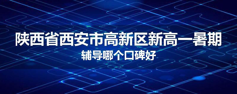 陕西省西安市高新区新高一暑期辅导哪个口碑好