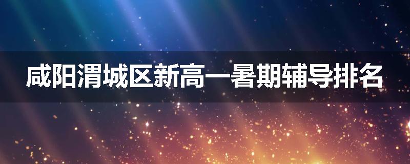 咸阳渭城区新高一暑期辅导排名