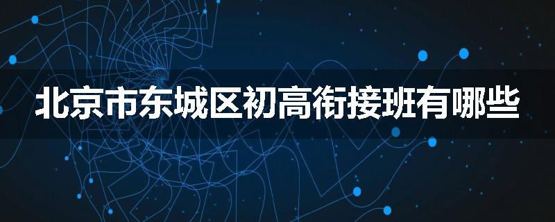 北京市东城区初高衔接班有哪些