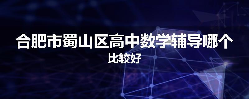 合肥市蜀山区高中数学辅导哪个比较好