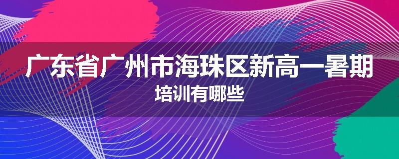 广东省广州市海珠区新高一暑期培训有哪些