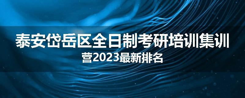 泰安岱岳区全日制考研培训集训营2023最新排名