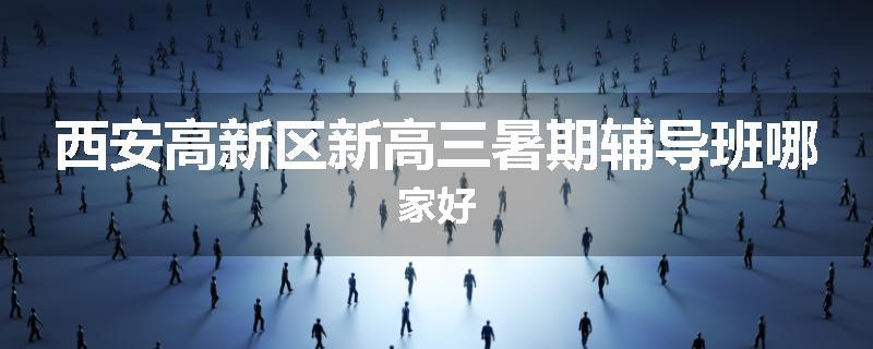西安高新区新高三暑期辅导班哪家好