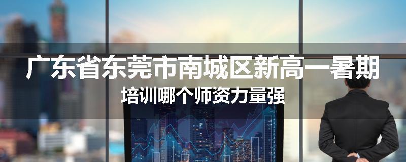 广东省东莞市南城区新高一暑期培训哪个师资力量强