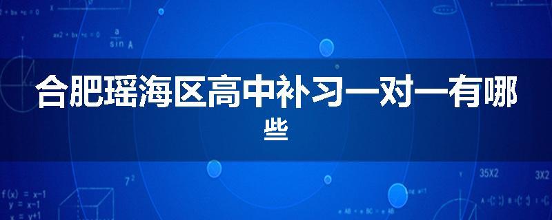 合肥瑶海区高中补习一对一有哪些
