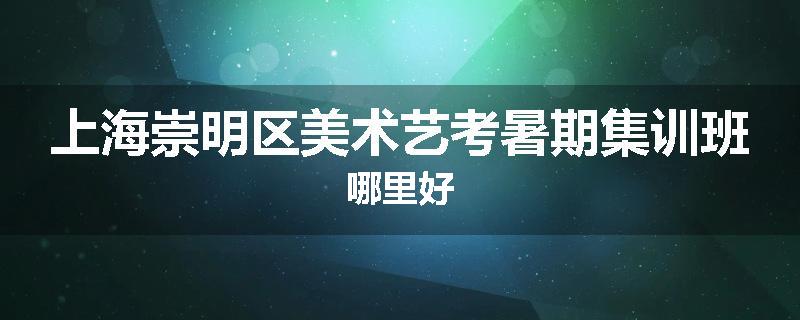 上海崇明区美术艺考暑期集训班哪里好