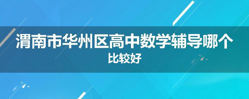 渭南市华州区高中数学辅导哪个比较好
