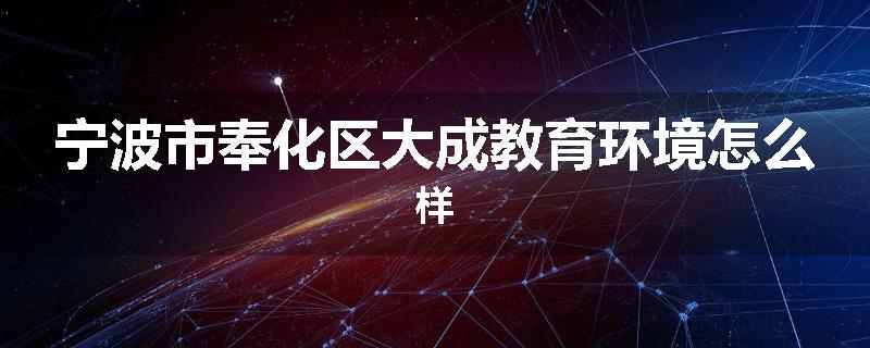 宁波市奉化区大成教育环境怎么样