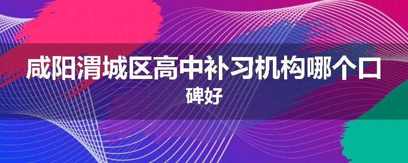 咸阳渭城区高中补习机构哪个口碑好