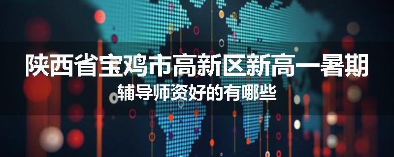 陕西省宝鸡市高新区新高一暑期辅导师资好的有哪些