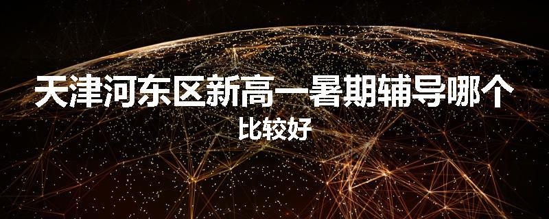 天津河东区新高一暑期辅导哪个比较好