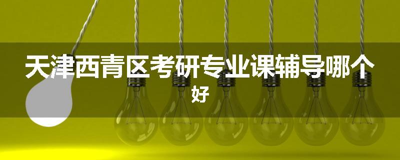 天津西青区考研专业课辅导哪个好