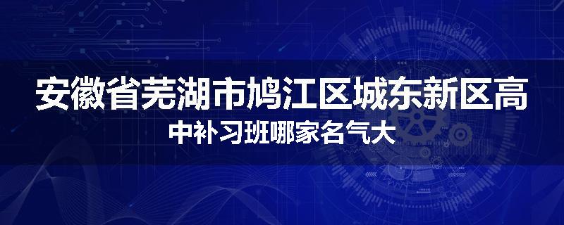 安徽省芜湖市鸠江区城东新区高中补习班哪家名气大