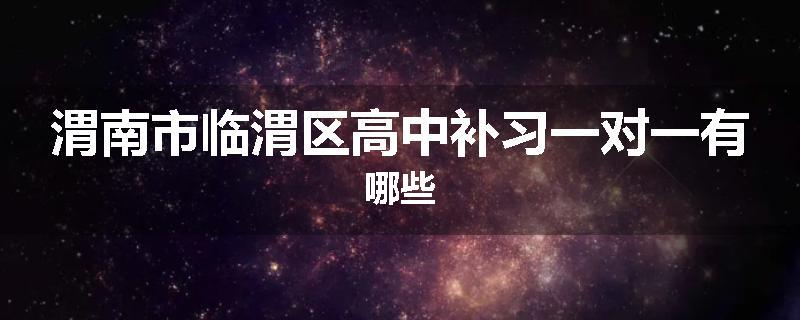 渭南市临渭区高中补习一对一有哪些