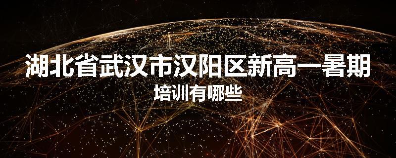 湖北省武汉市汉阳区新高一暑期培训有哪些