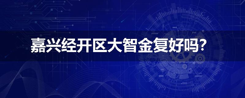 嘉兴经开区大智金复好吗？