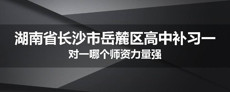 湖南省长沙市岳麓区高中补习一对一哪个师资力量强