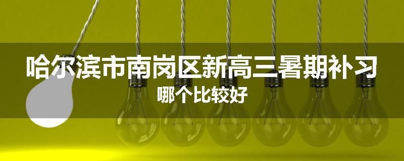 哈尔滨市南岗区新高三暑期补习哪个比较好
