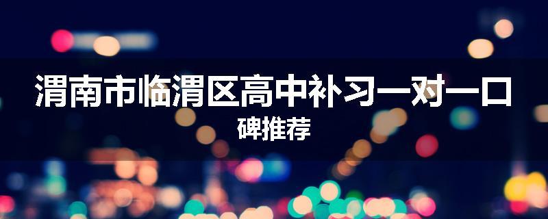 渭南市临渭区高中补习一对一口碑推荐