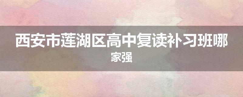 西安市莲湖区高中复读补习班哪家强