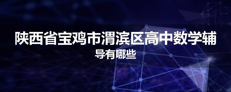 陕西省宝鸡市渭滨区高中数学辅导有哪些