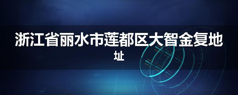 浙江省丽水市莲都区大智金复地址