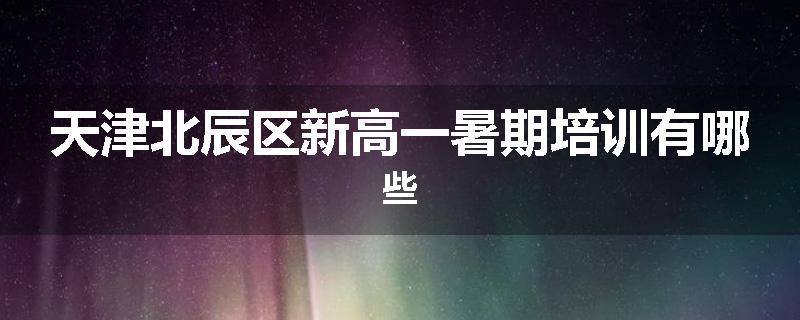 天津北辰区新高一暑期培训有哪些