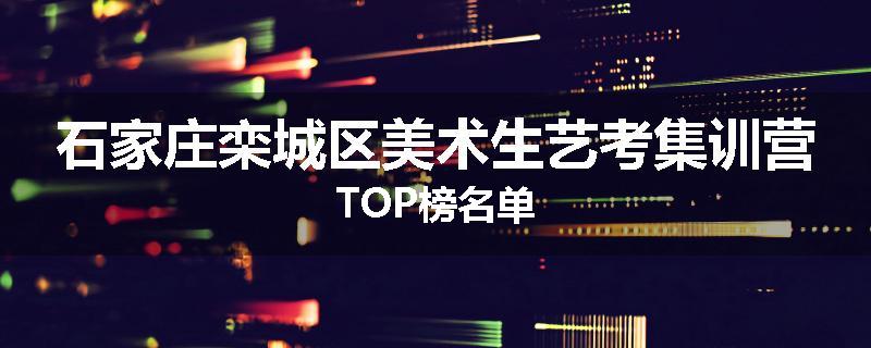 石家庄栾城区美术生艺考集训营TOP榜名单
