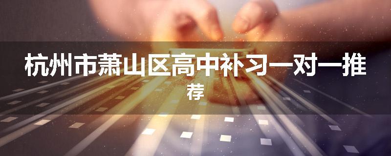 杭州市萧山区高中补习一对一推荐