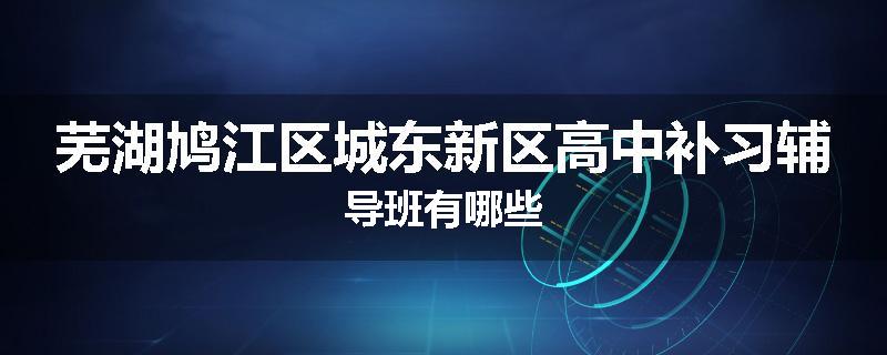 芜湖鸠江区城东新区高中补习辅导班有哪些