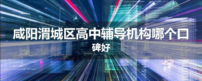 咸阳渭城区高中辅导机构哪个口碑好