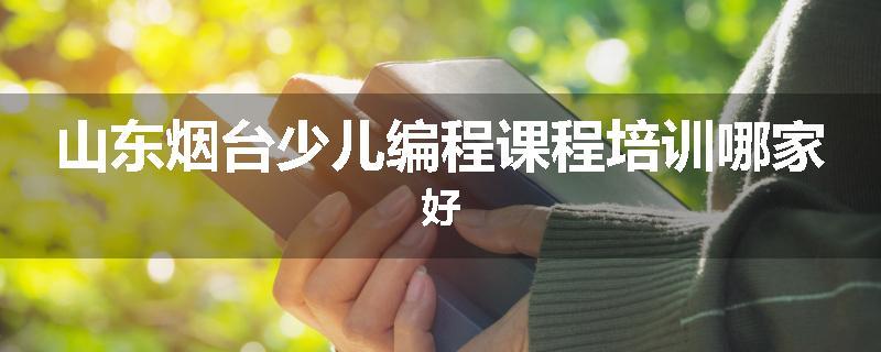 山东烟台少儿编程课程培训哪家好
