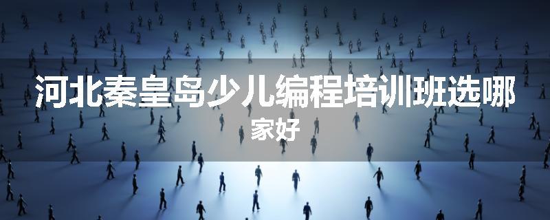 河北秦皇岛少儿编程培训班选哪家好