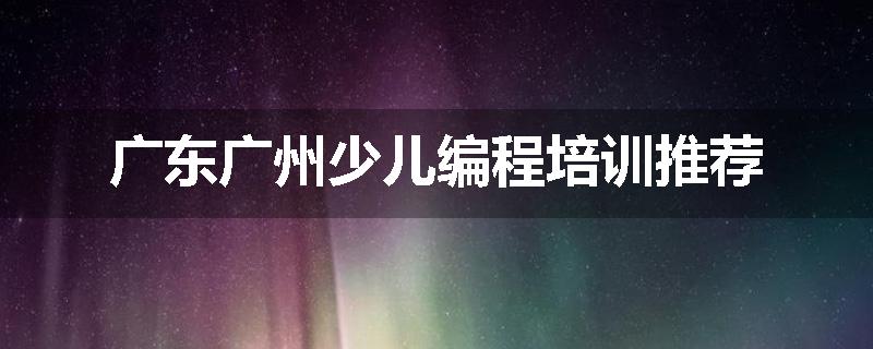 广东广州少儿编程培训推荐